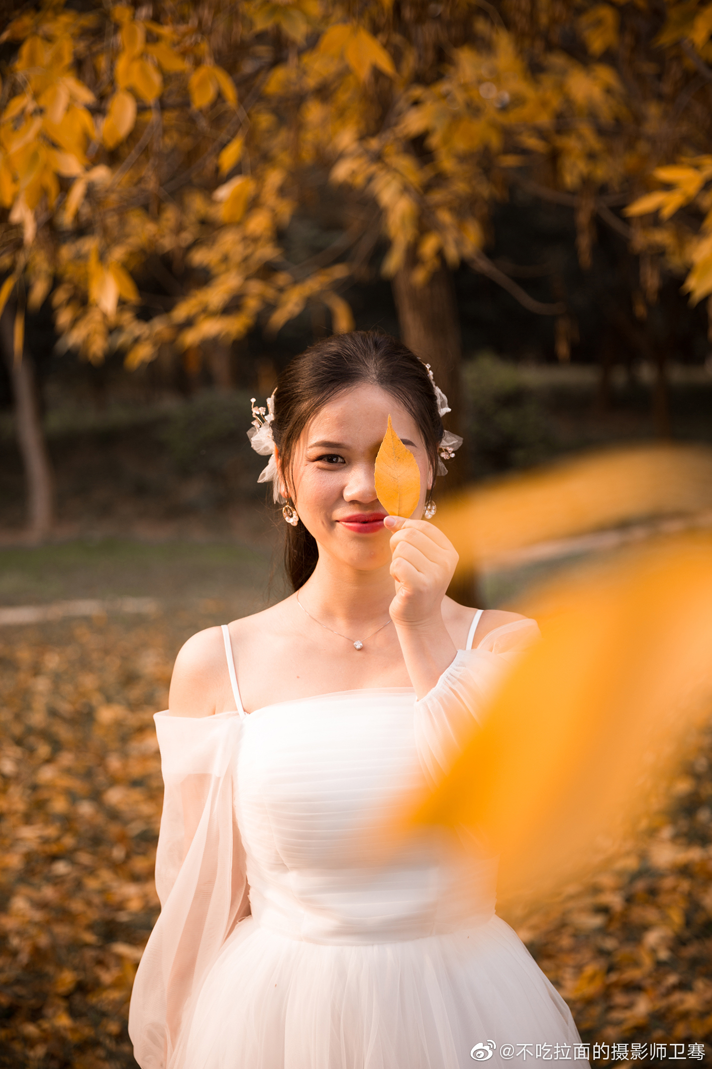 今日份原图-秋林.