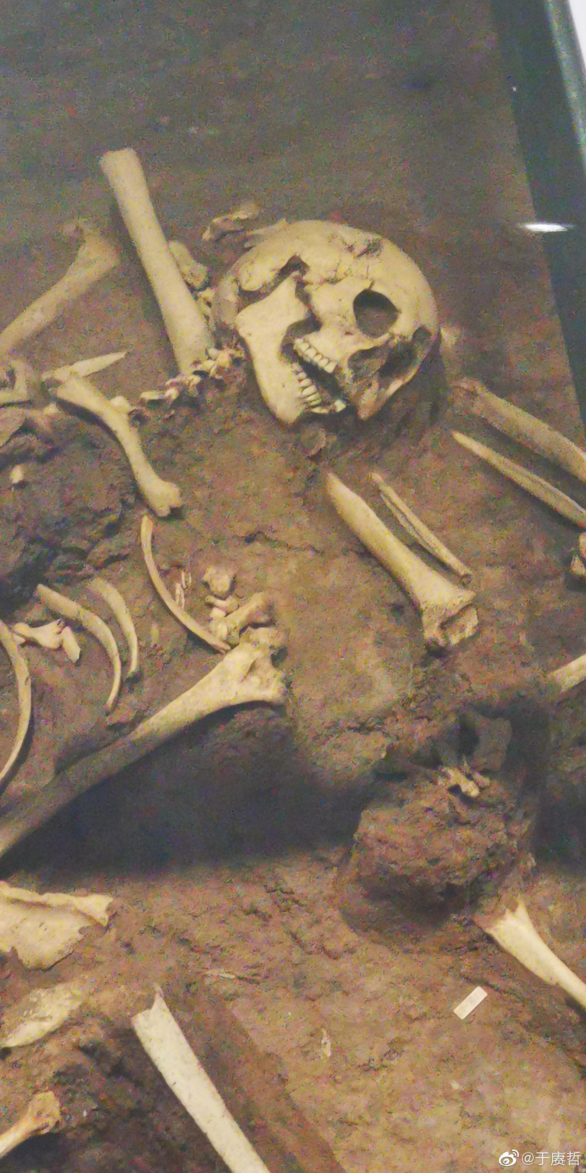 整理照片山西高平长平之战遗址尸骨坑