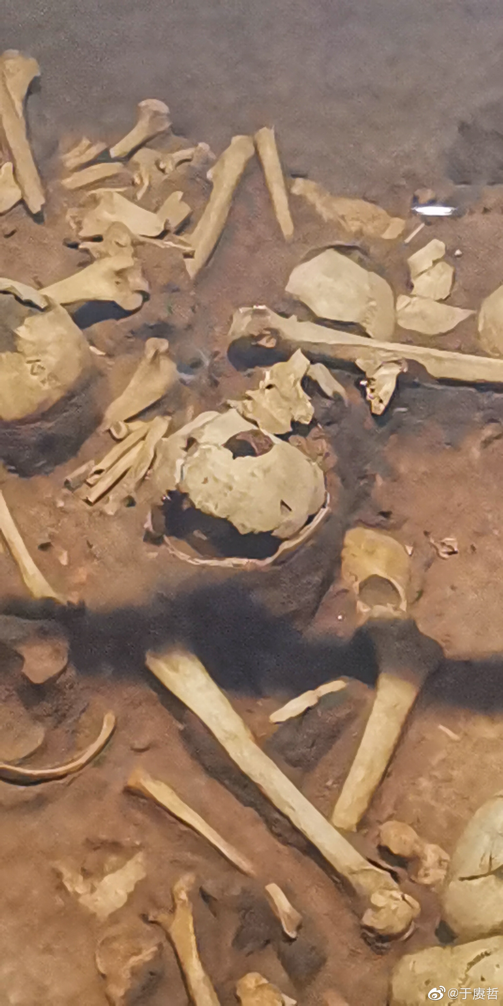 整理照片山西高平长平之战遗址尸骨坑