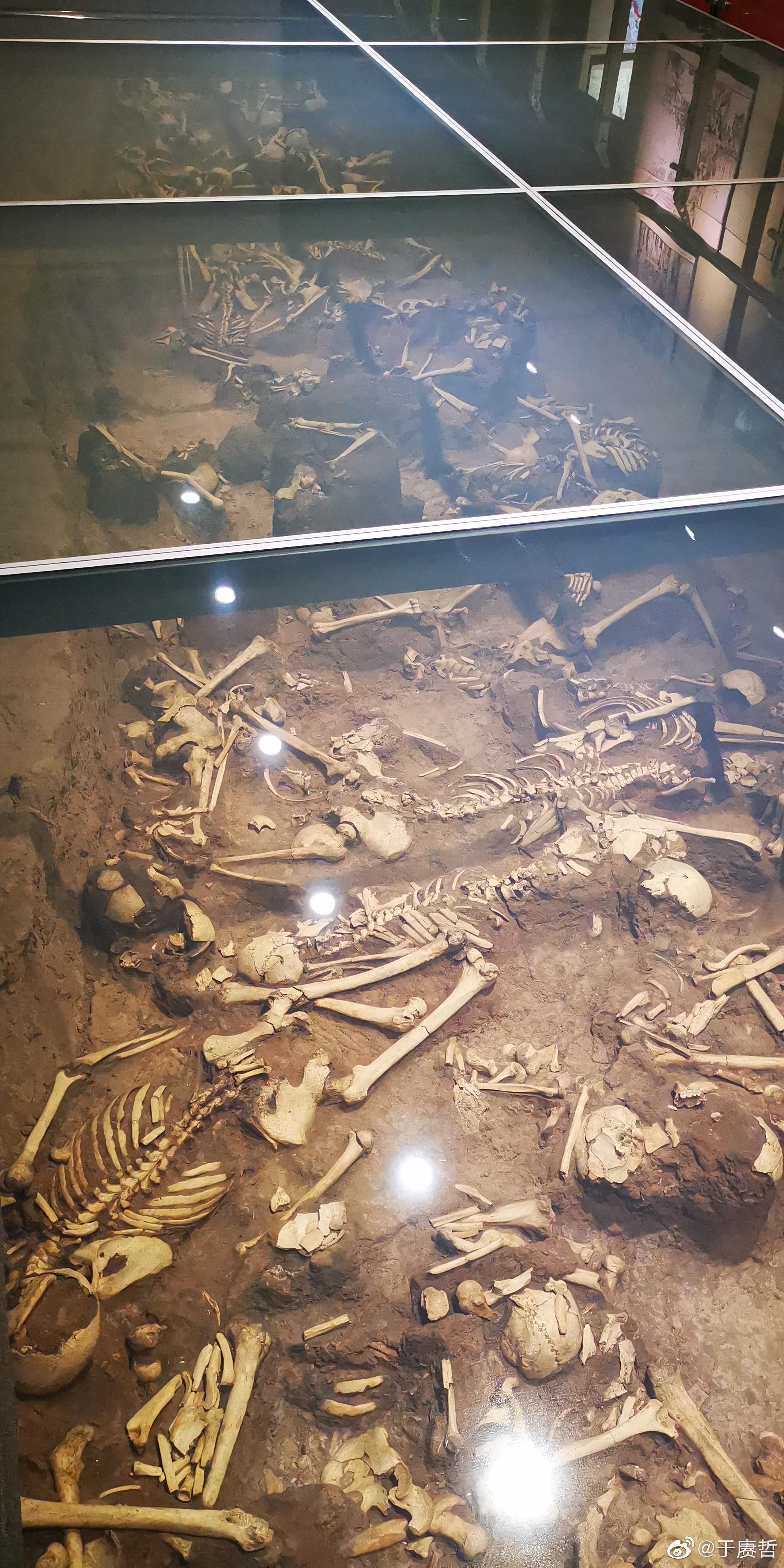 整理照片山西高平长平之战遗址尸骨坑