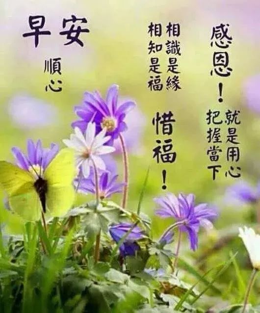 超暖心的早上好问候祝福语美图,最美早安问候语动态图片
