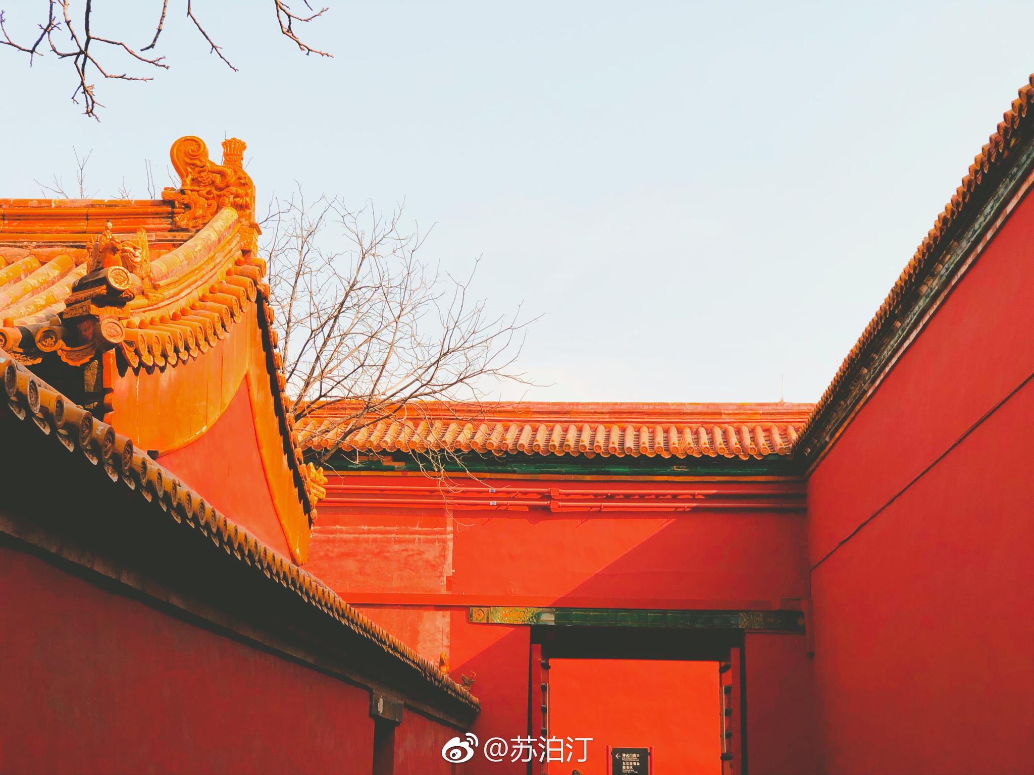 红墙金瓦辞岁去