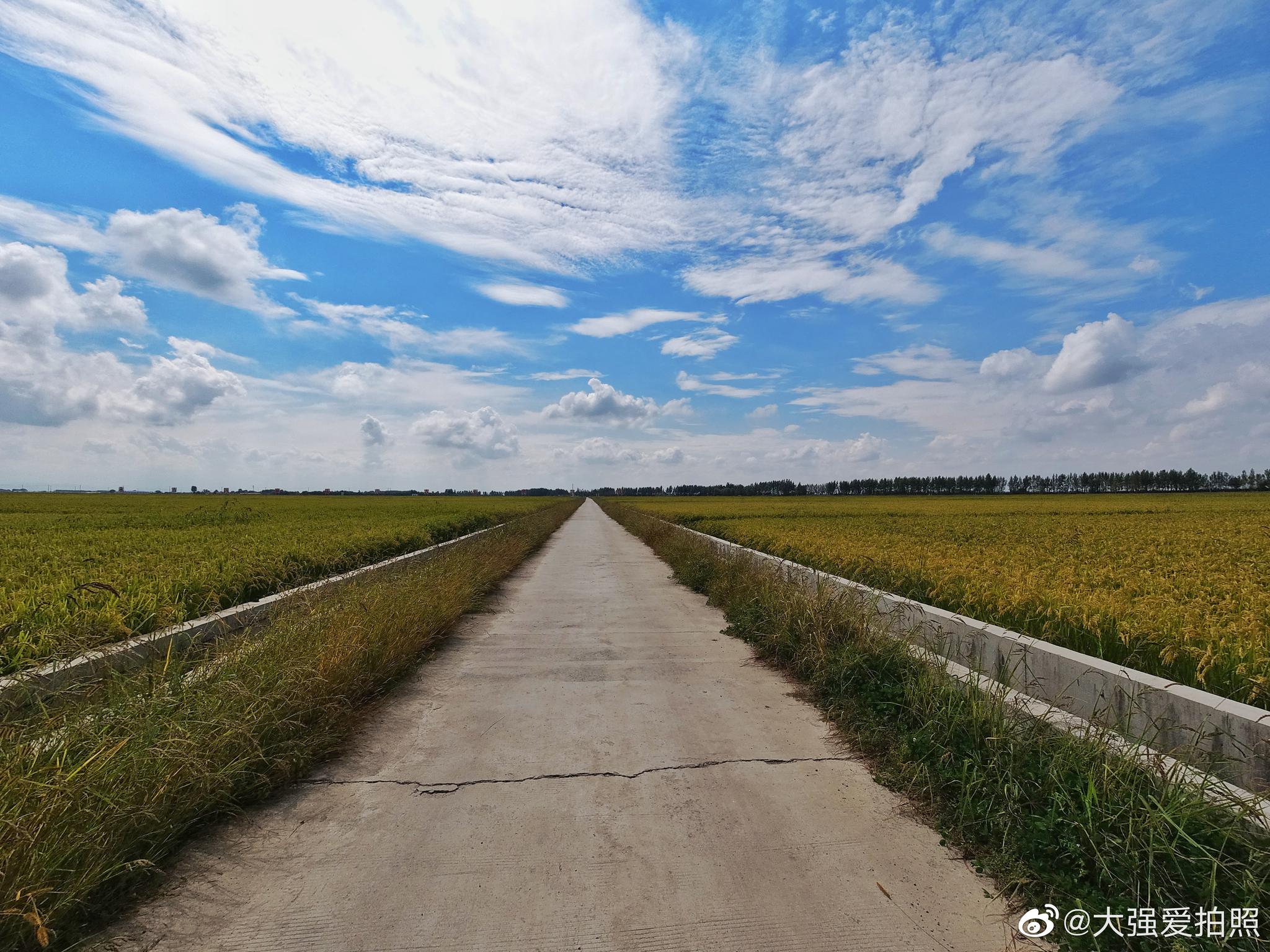 生态水稻种植基地+农业观光 让昔日的田间地头变成网红打卡地