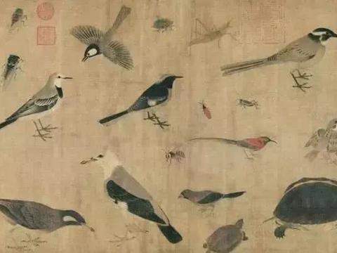 书画-黄筌《写生珍禽图卷》_新浪新闻