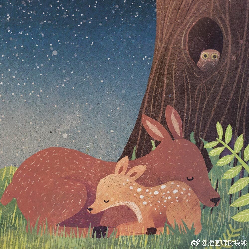 国外插画师 carmen saldaa 夜晚的森林插画设计作品森林里的小动物们