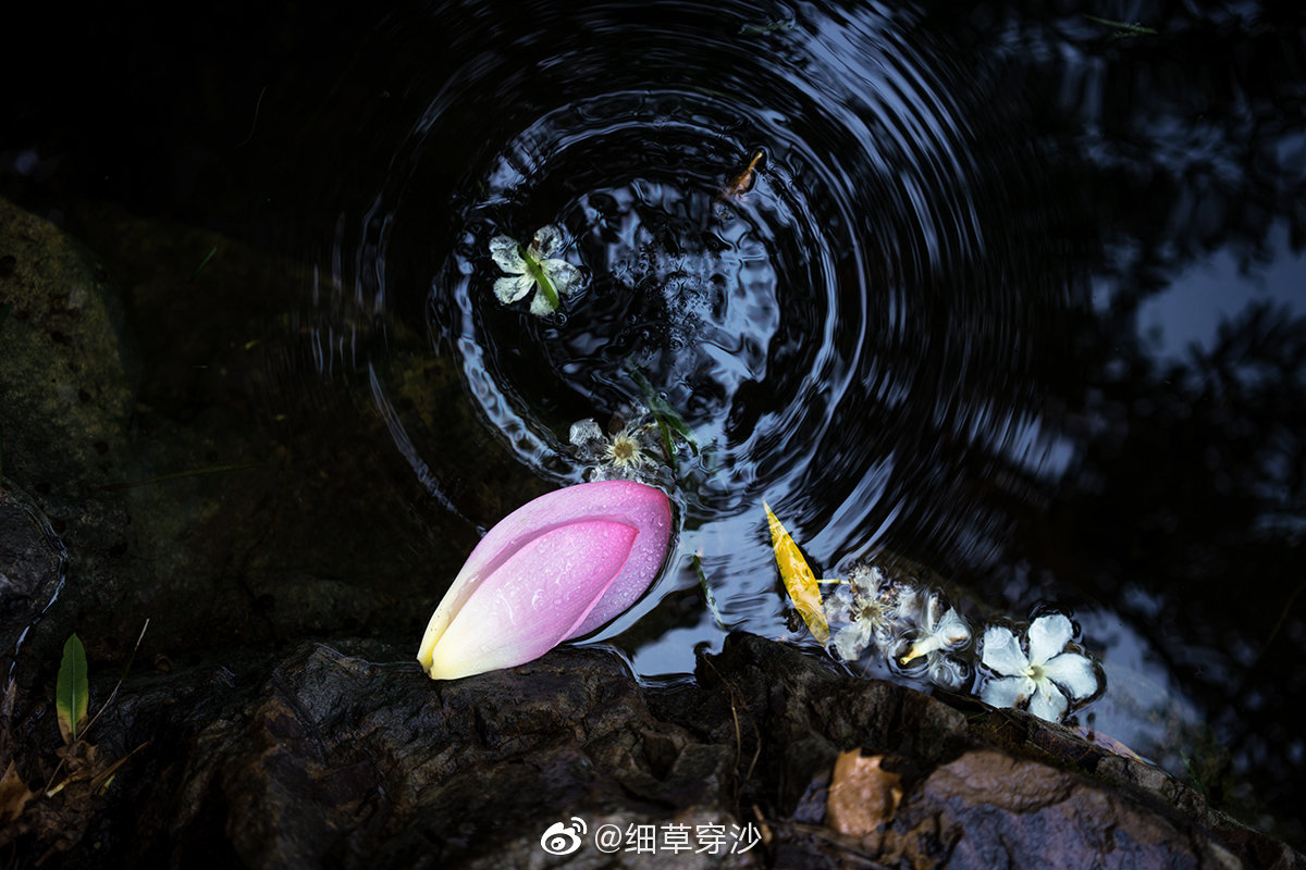 落花本无愁,流水亦无忧.青山不说话,红尘随波流.