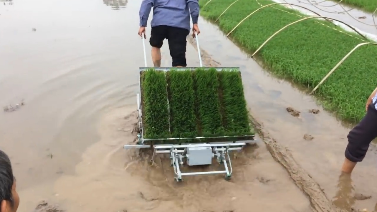 农村小哥发明"背式"插秧机,一个小时插秧2亩地,成本200元