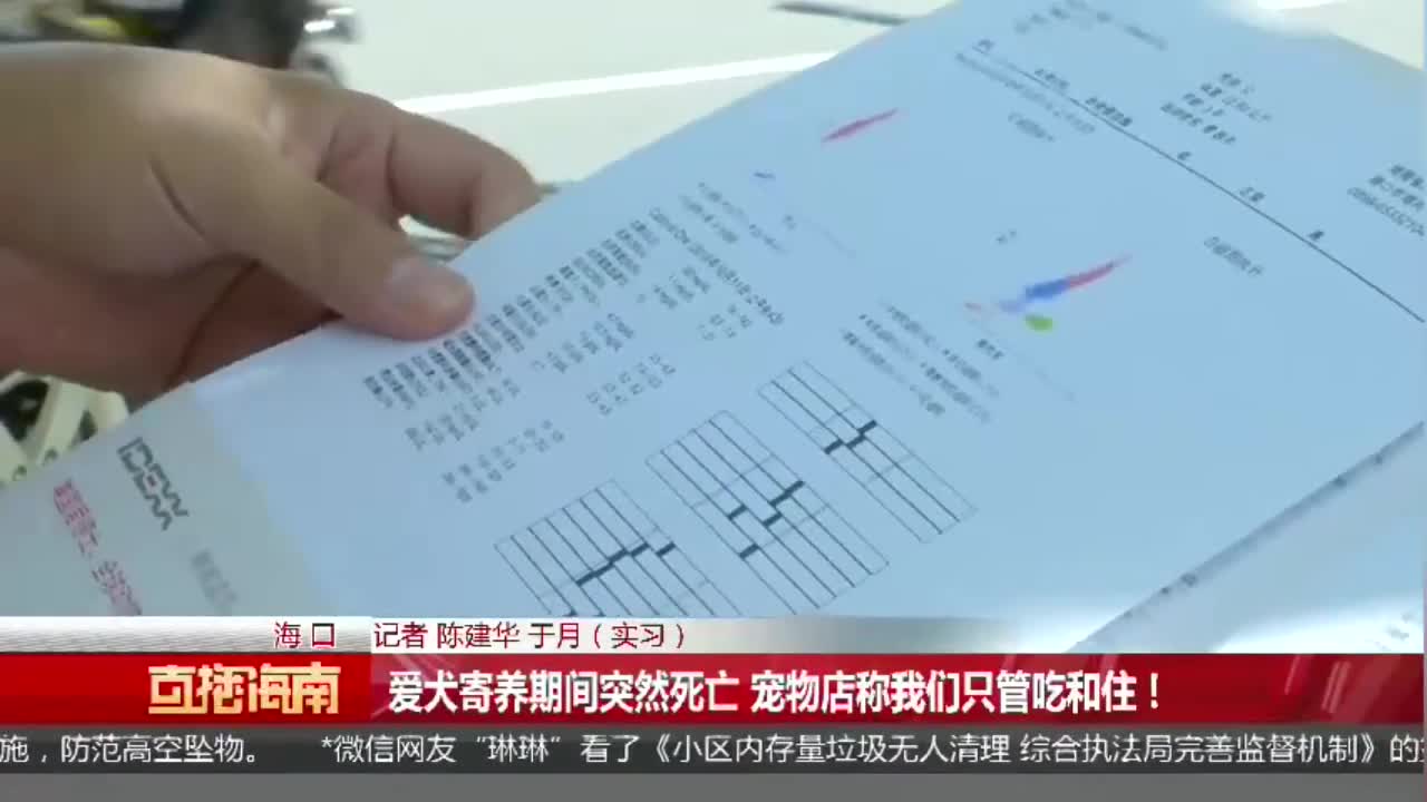 爱犬寄养宠物店 第二天突然死亡 店家称 只管吃住 出事不负责 爱犬寄养宠物店 第二天突然死亡 店家称 只管吃住 出事不负责