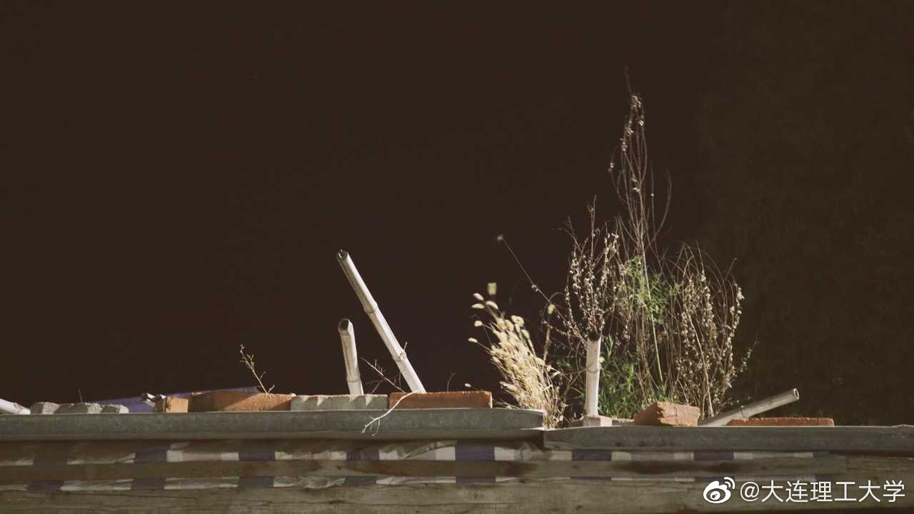 零上九度的大工夜投稿 囷囷甯子 高清图集 新浪网