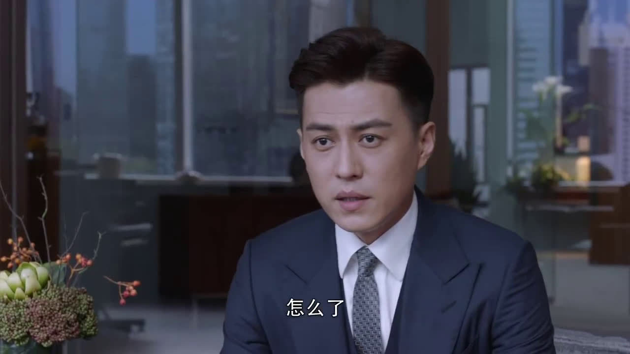 靳东蓝盈莹《精英律师》第34-35集:罗槟接任封老大的班荣盛主任