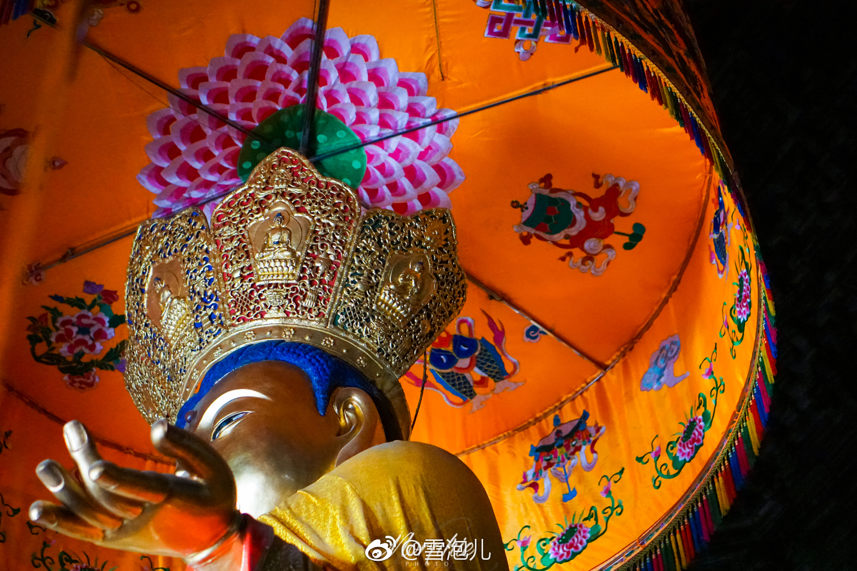 人类真的变得越来越蠢了吗 ？...