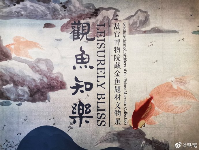 北京故宫延禧宫观鱼知乐展摄影铁窝