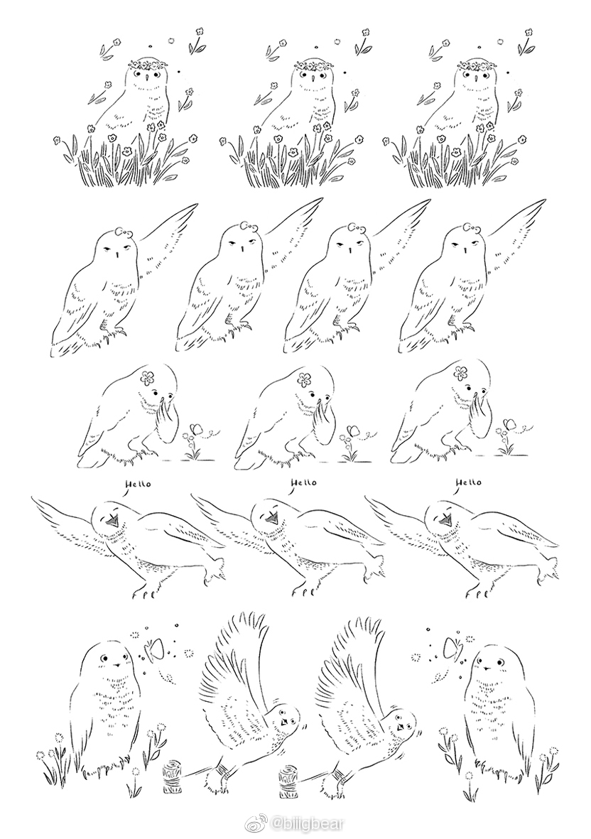 雪鸮素材画好啦雪鸮真的泰泰泰可爱第一千零一次感叹这次一