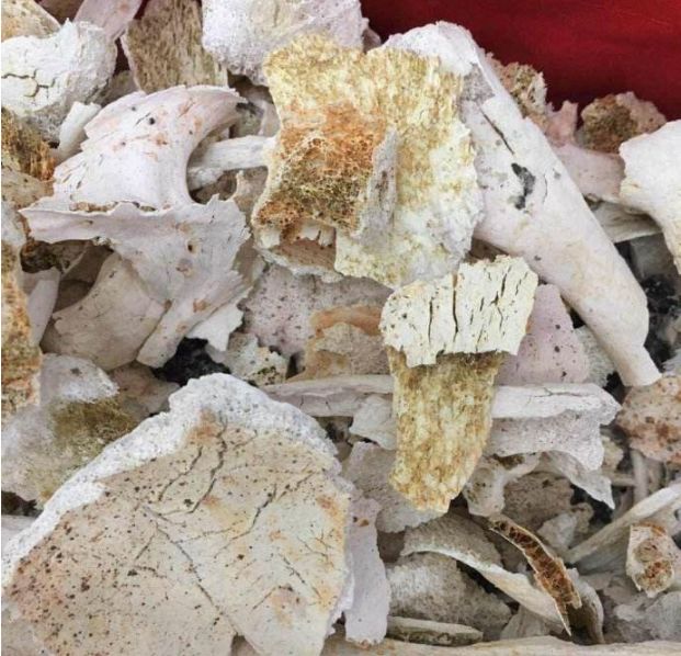 体重800斤男子去世,火化后家人去捡骨灰时让她们顿时崩溃