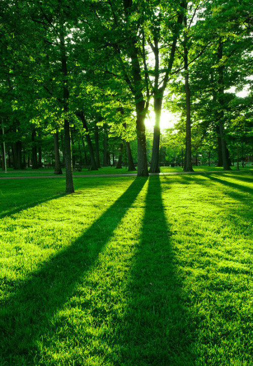 人生最美好的事就是每天早晨都能看到生活赐予我们的那一米阳光