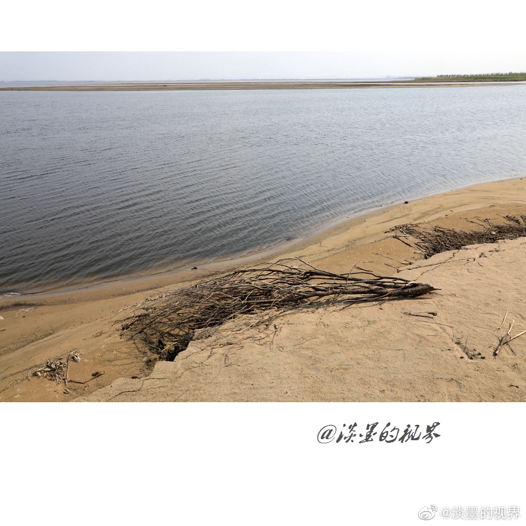 爱的阶梯
