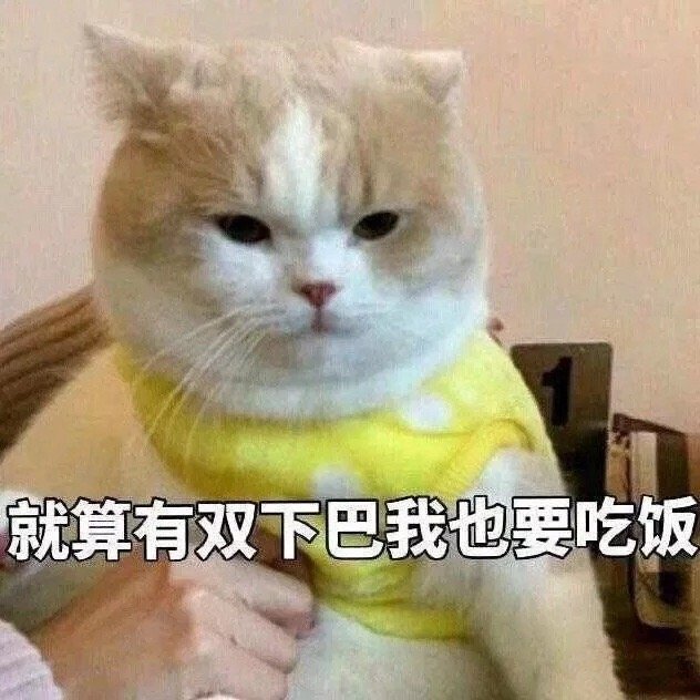 要不要在村口摆几桌 67今日份的沙雕无水印表情包滚低级我认