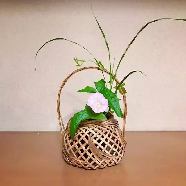 一边插花,一边喝茶,这就是我想要的生活