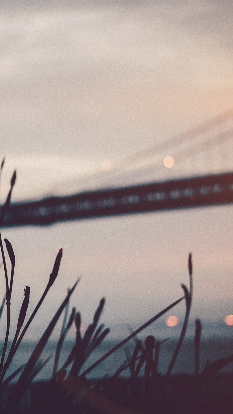 beautifulnature高清无水印手机壁纸锁屏壁纸第117期