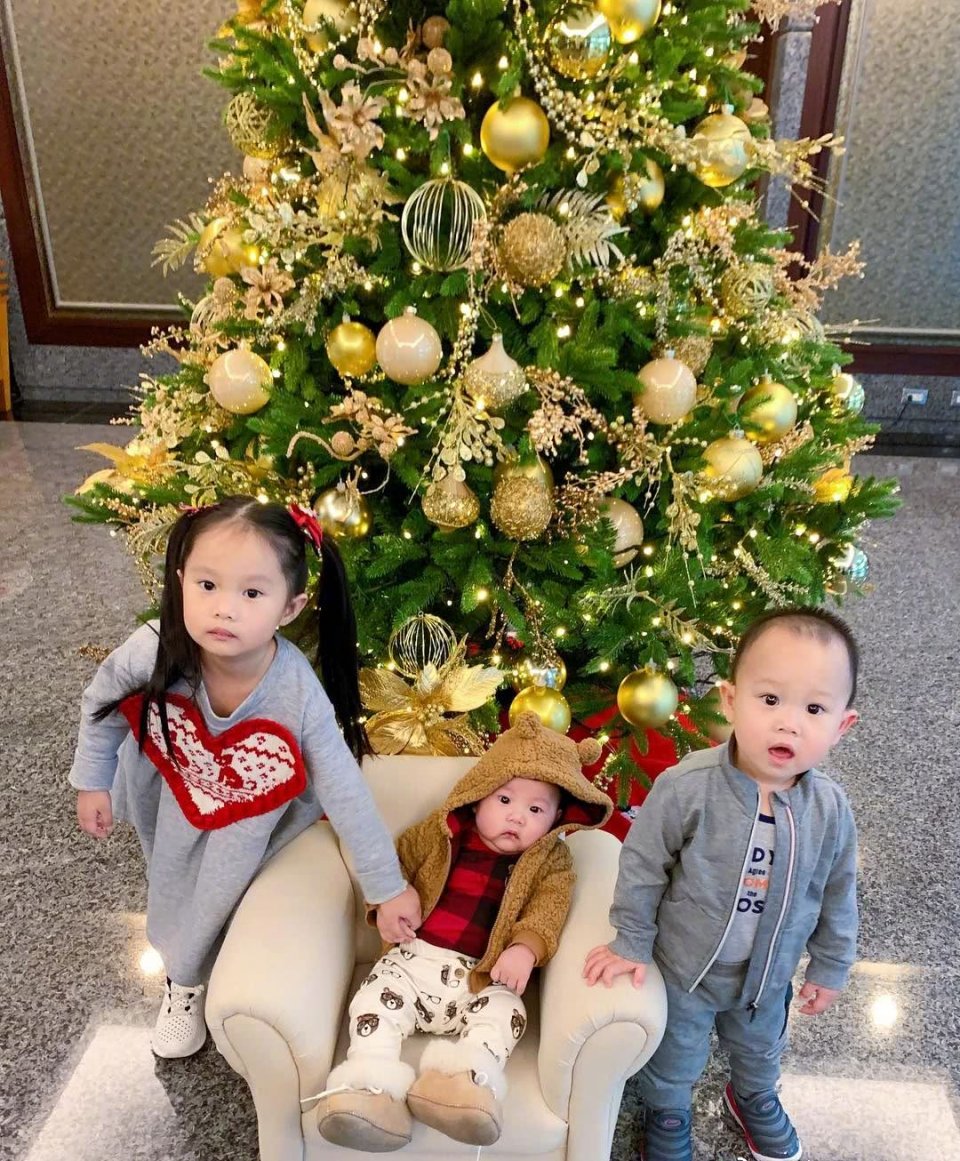 关颖晒三个子女圣诞树前萌照,三胎儿子已经三个月大,坐姿像大佬