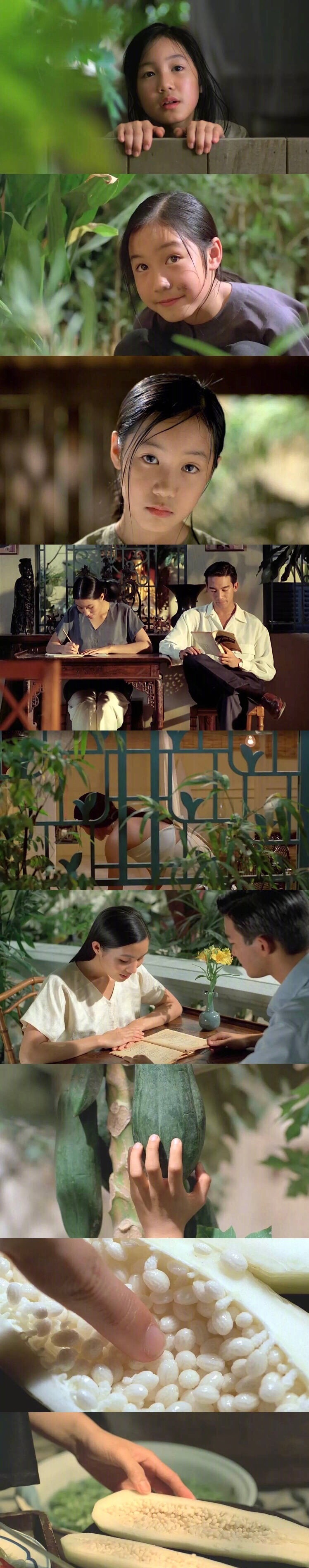 海街日记 2.步履不停 3