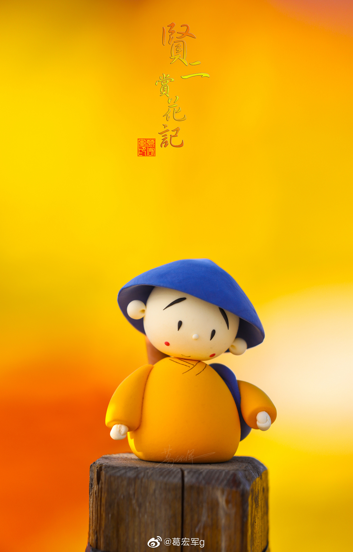 贤二赏花记 赏秋菊 贤二赏花记 赏秋菊
