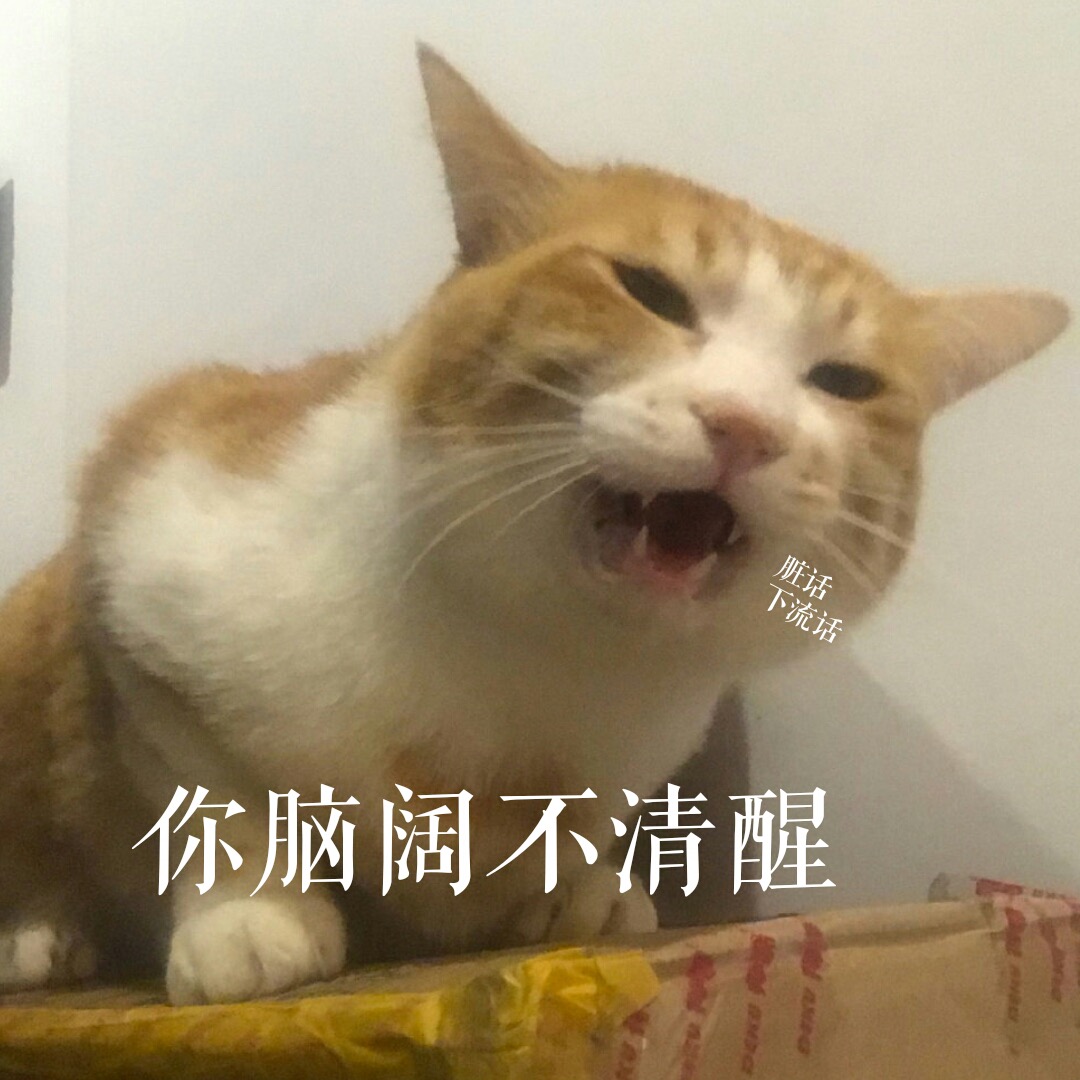 (投稿@草莓猪古力仙 )猫:居居你脑阔不清醒(***)