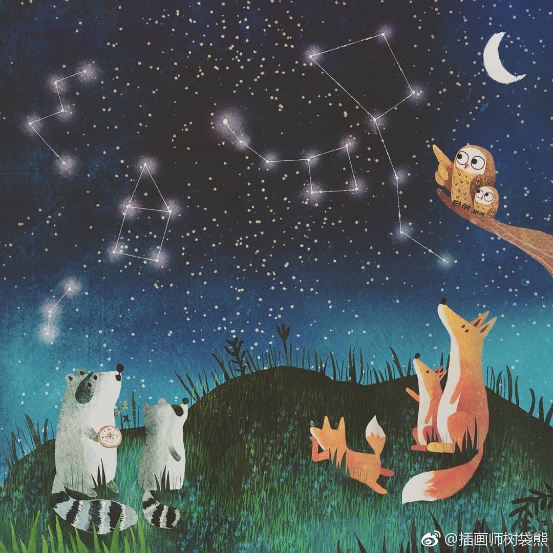 国外插画师 carmen saldaa 夜晚的森林插画设计作品森林里的小动物们