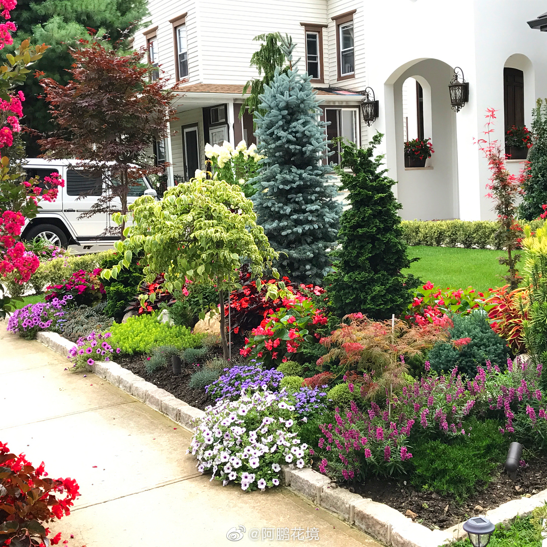 美式花园花境,骨架植物个性张扬,钟爱刚烈张扬的针叶柏树