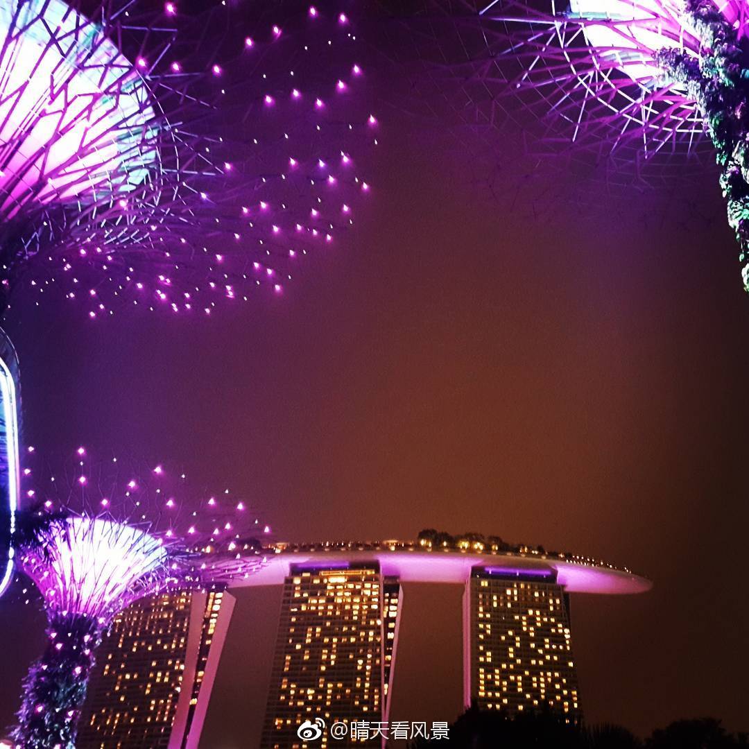 新加坡滨海湾公园超级树的迷人灯光秀_新浪新闻