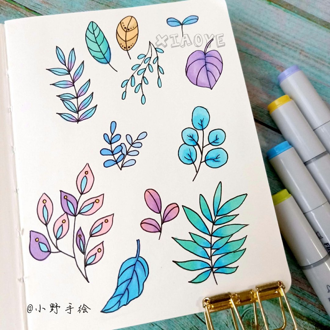 简约实用的小清新植物简笔画 作者:@小野手绘