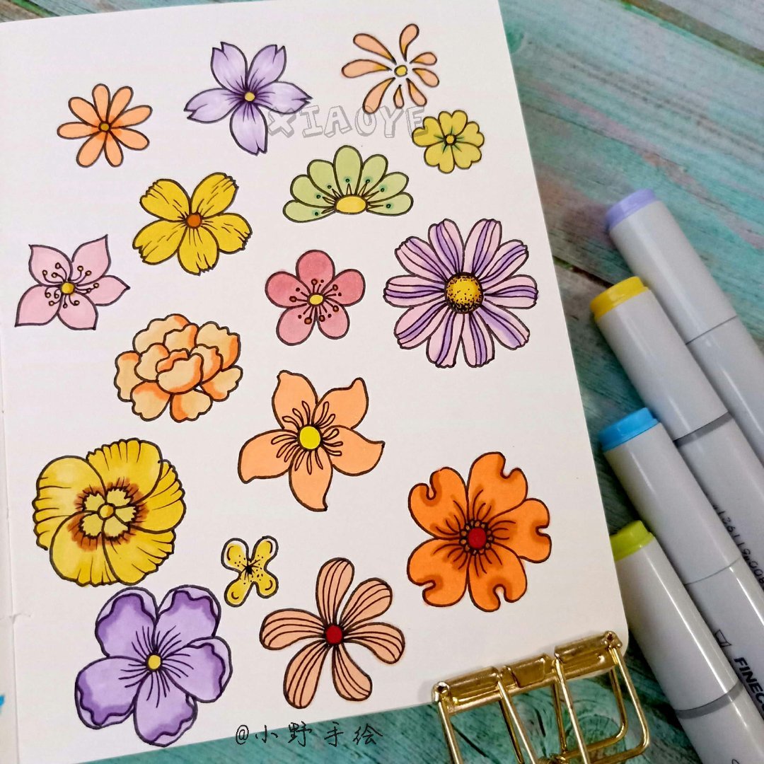 简约实用的小清新植物简笔画 作者:@小野手绘