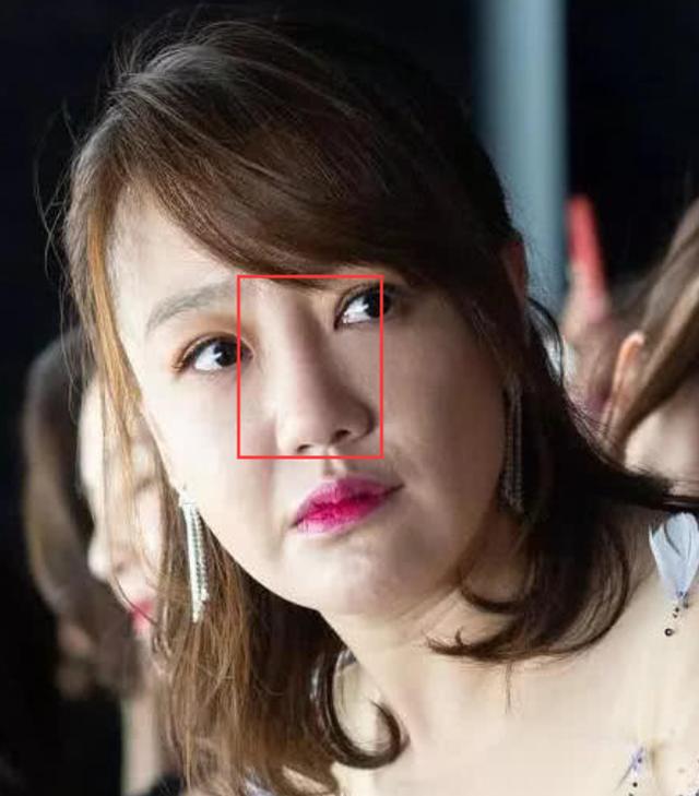 41岁薛佳凝僵脸引热议女明星真的不要一窝蜂去搞自己的鼻子了