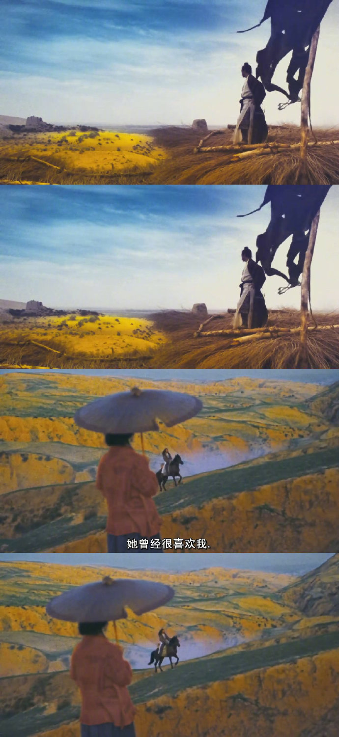 《东邪西毒》,王家卫电影中独特的光影与色彩