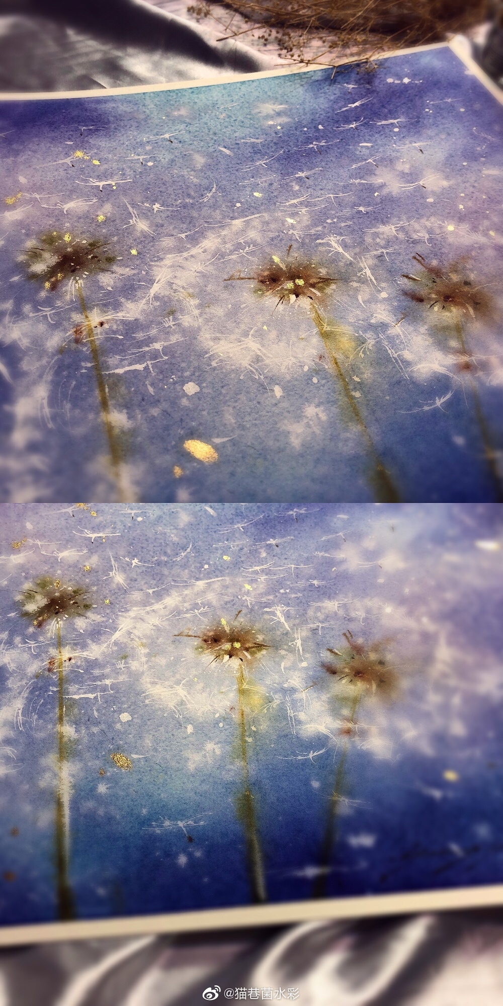 漫天飘散着白绒绒的蒲公英你想像蒲公英一样去旅行吗