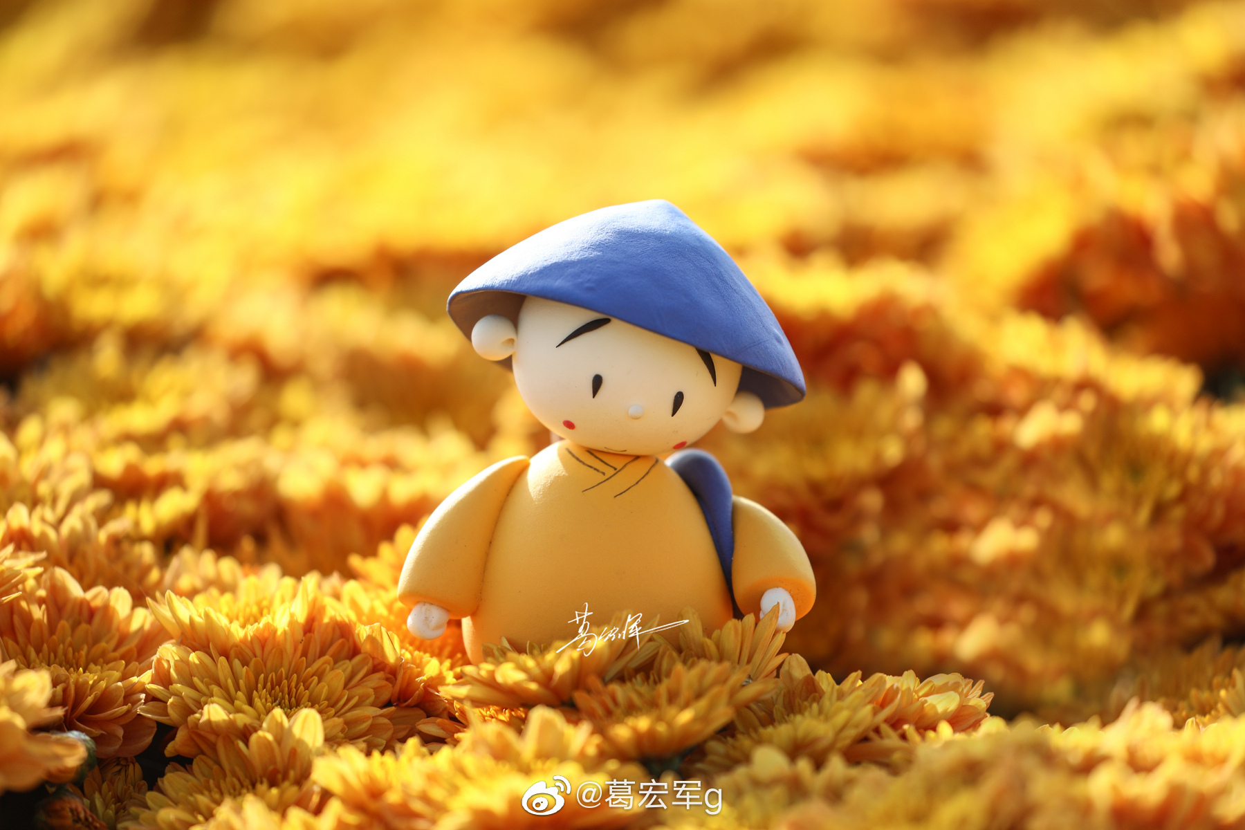 贤二赏花记 赏秋菊 贤二赏花记 赏秋菊
