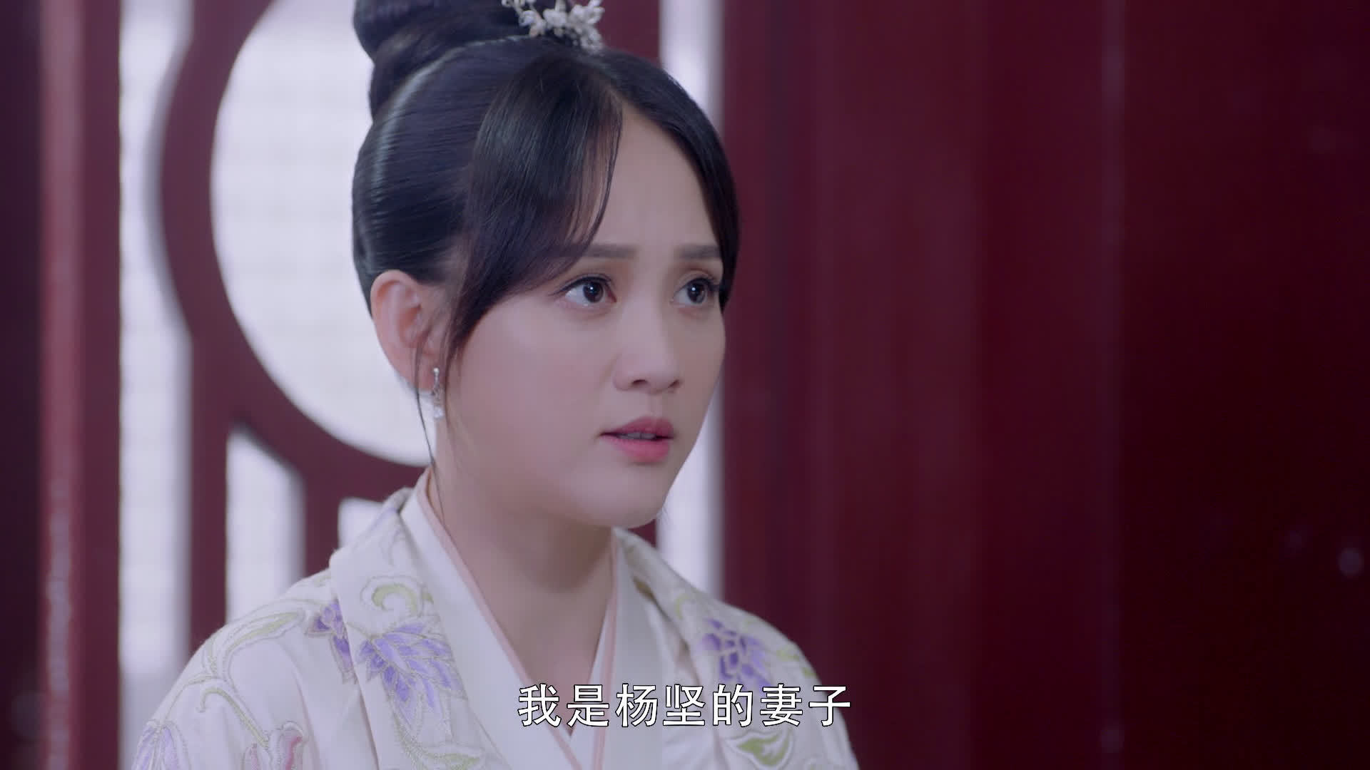 电视剧独孤皇后