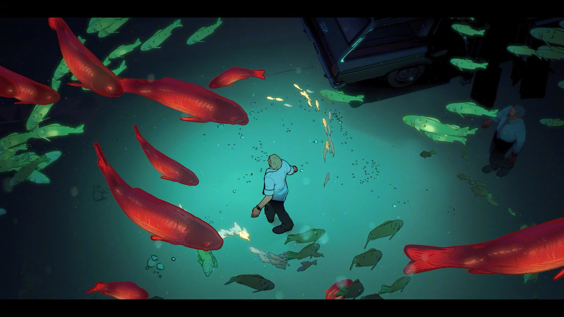 转发这一大群锦鲤 古鱼复苏