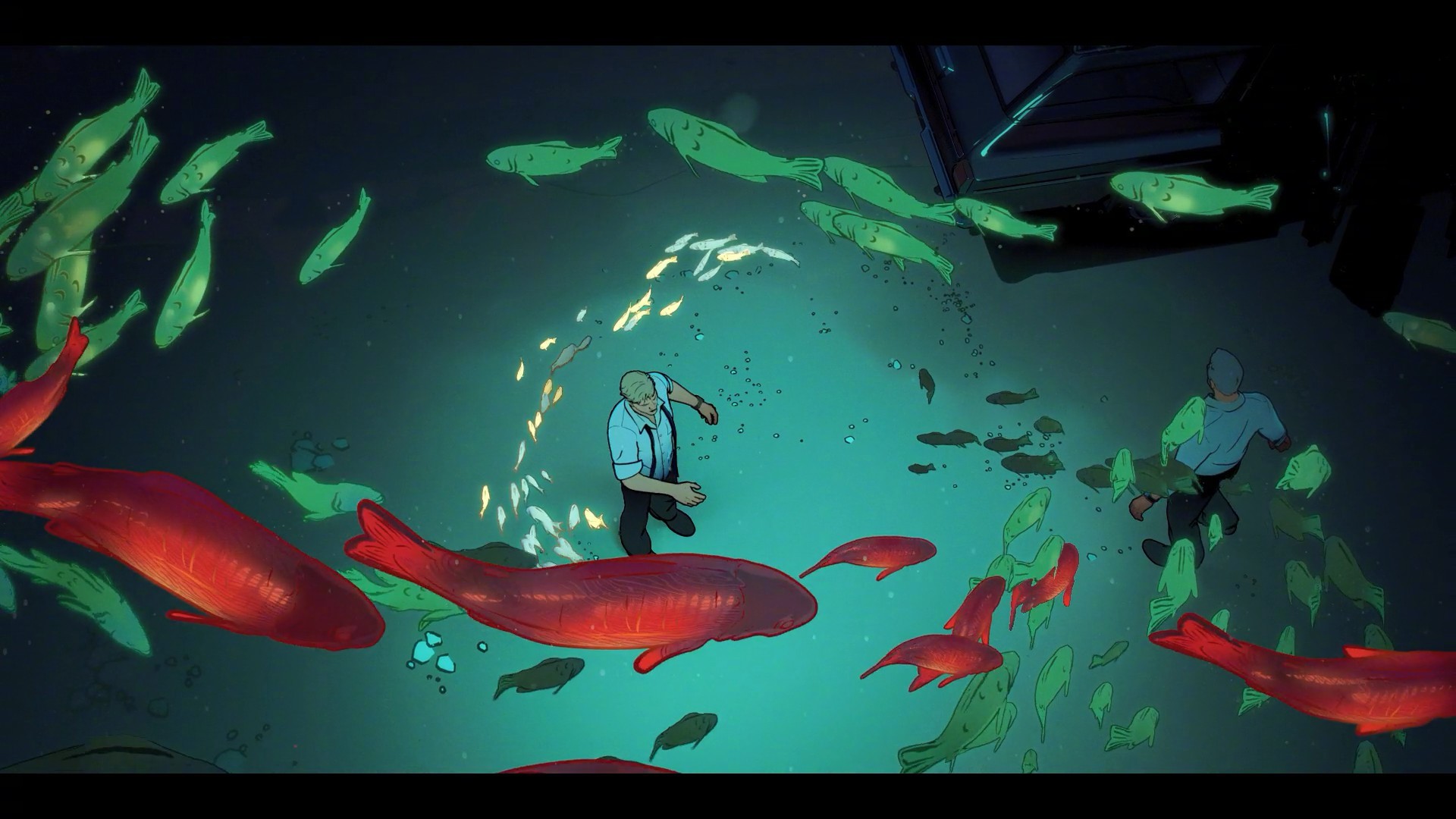 转发这一大群锦鲤 古鱼复苏