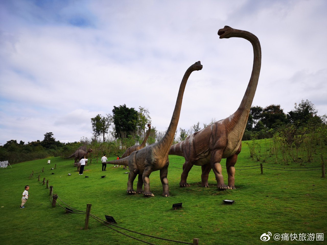 自贡确实应该用心打造一条网红恐龙大道@自贡同城 @自贡恐龙博物馆