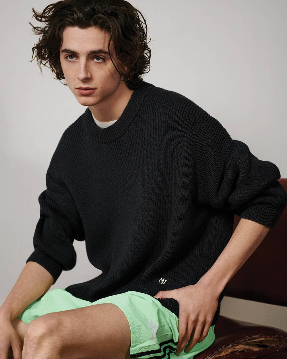 timothée chalamet for vman ss2018 -collier schorr