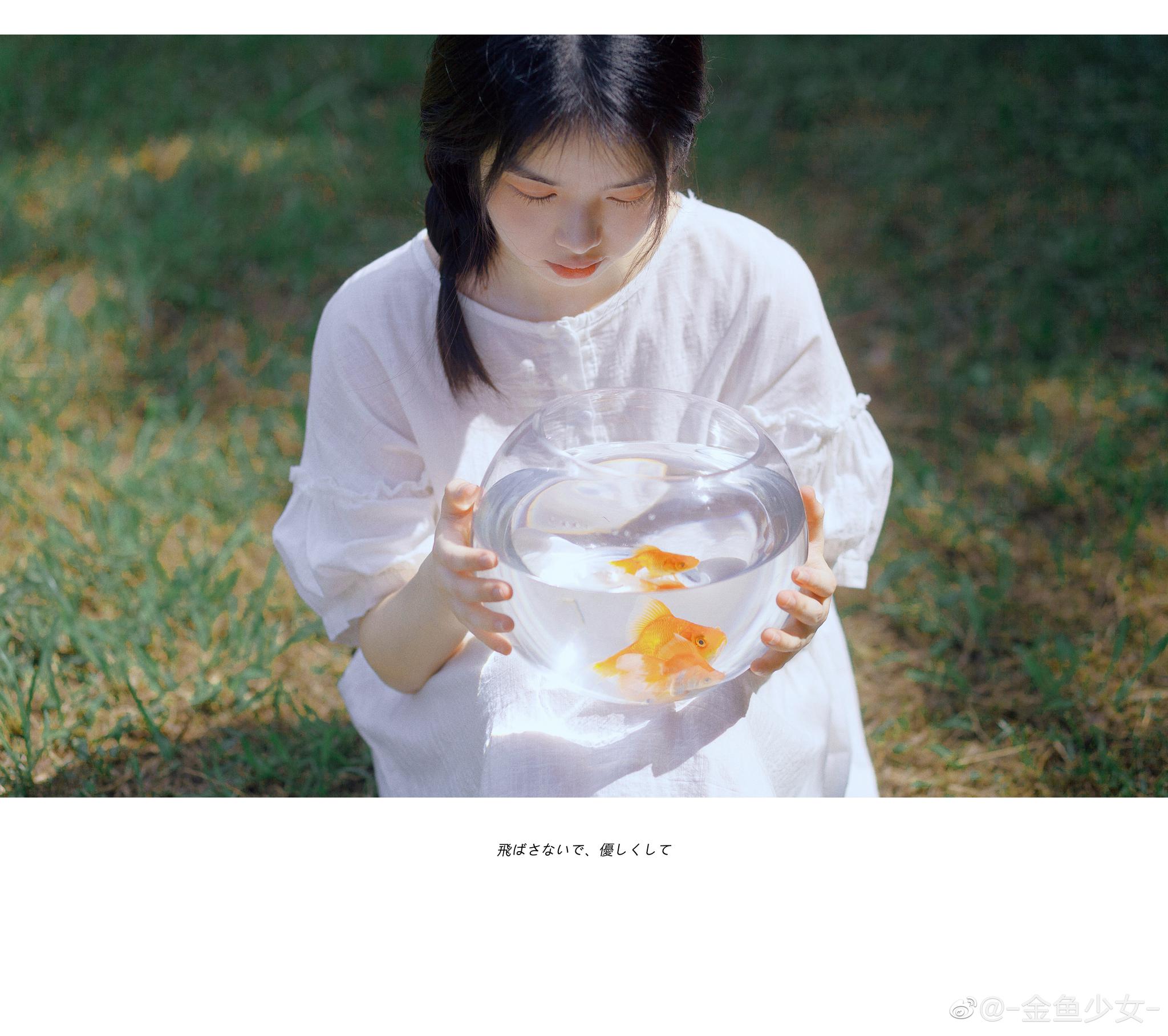 将我温柔豢养|金鱼|少女_新浪新闻