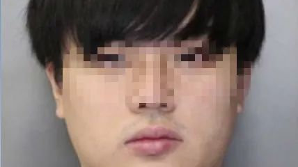 大快人心！22岁雪城大学中国学生残忍虐猫，被判驱逐出境！