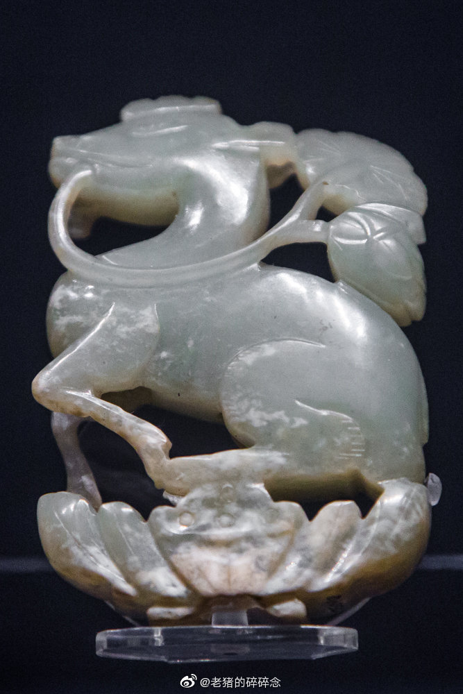 上海博物馆-“古代动物园”|老猪|拍摄|上海博物馆_新浪新闻