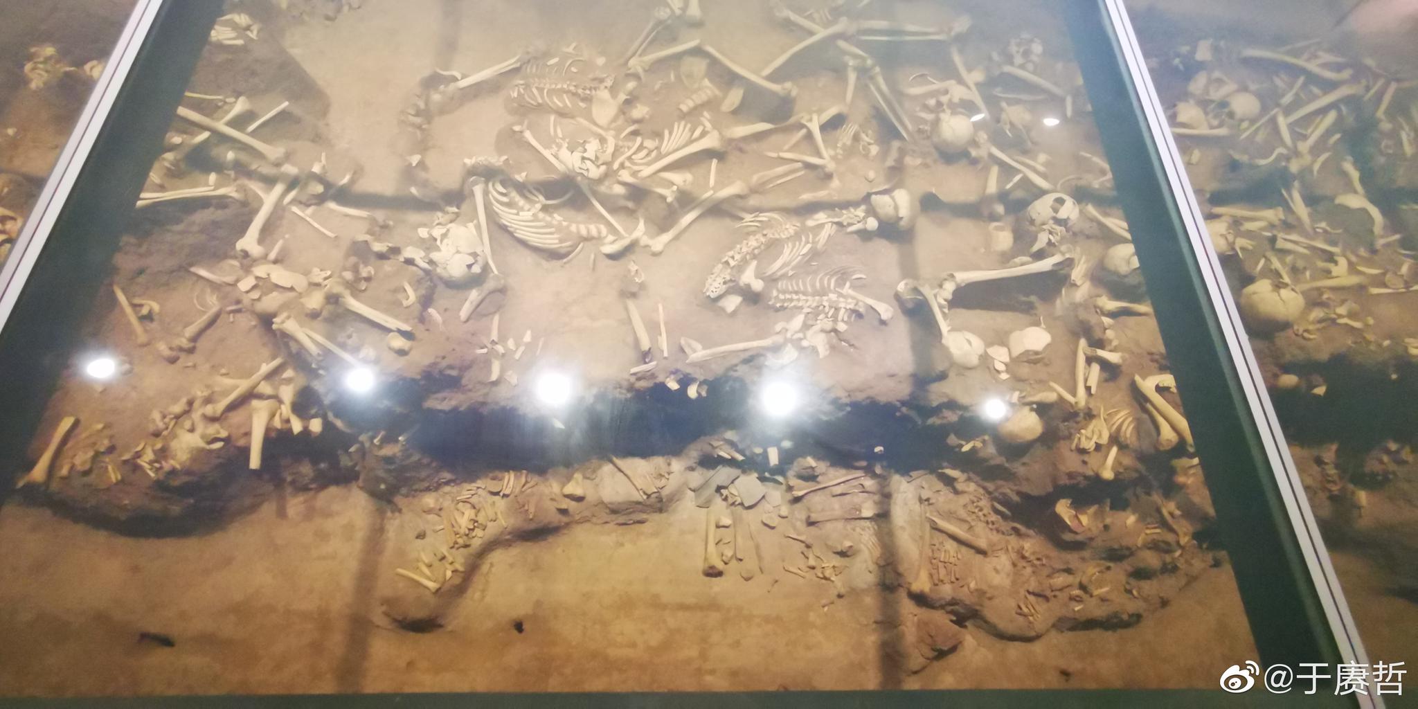 整理照片.山西高平长平之战遗址尸骨坑