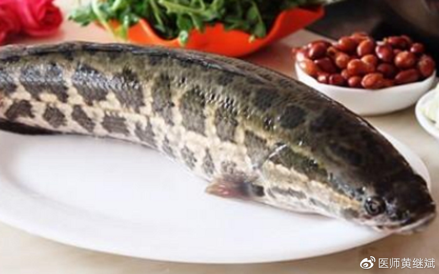 去除夏季暑热,调整面部肤色,黑鱼的功效和禁忌有哪些?
