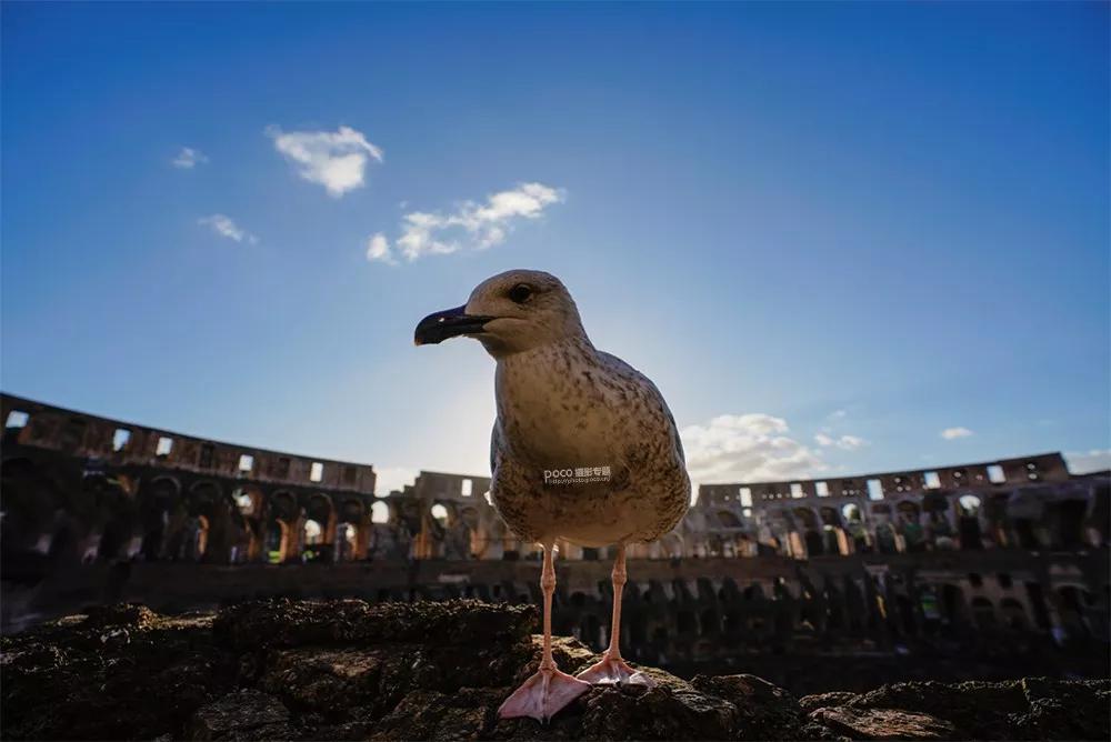 耐人寻味的照片怎么拍?这12种方法超管用!