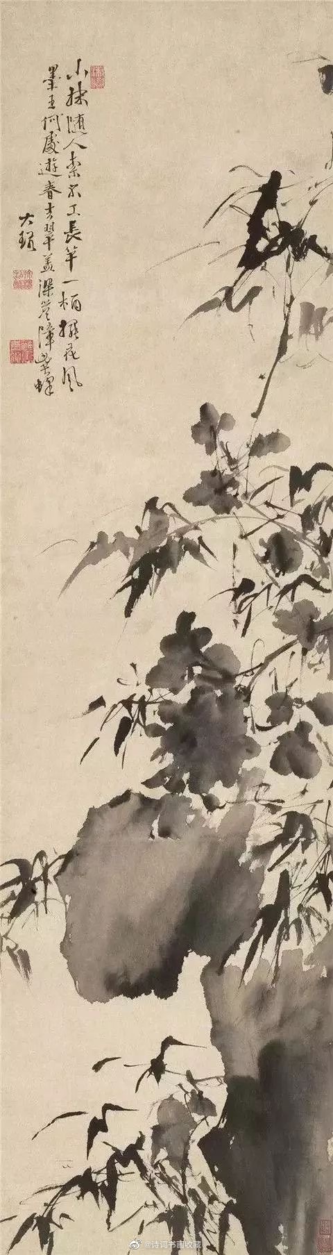 "泼墨大写意画派"创始人徐渭作品欣赏