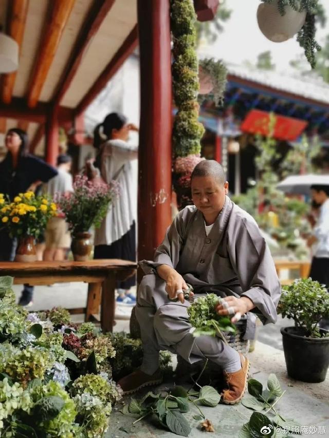 中国最美尼姑庵美的可不仅是寺庙而已