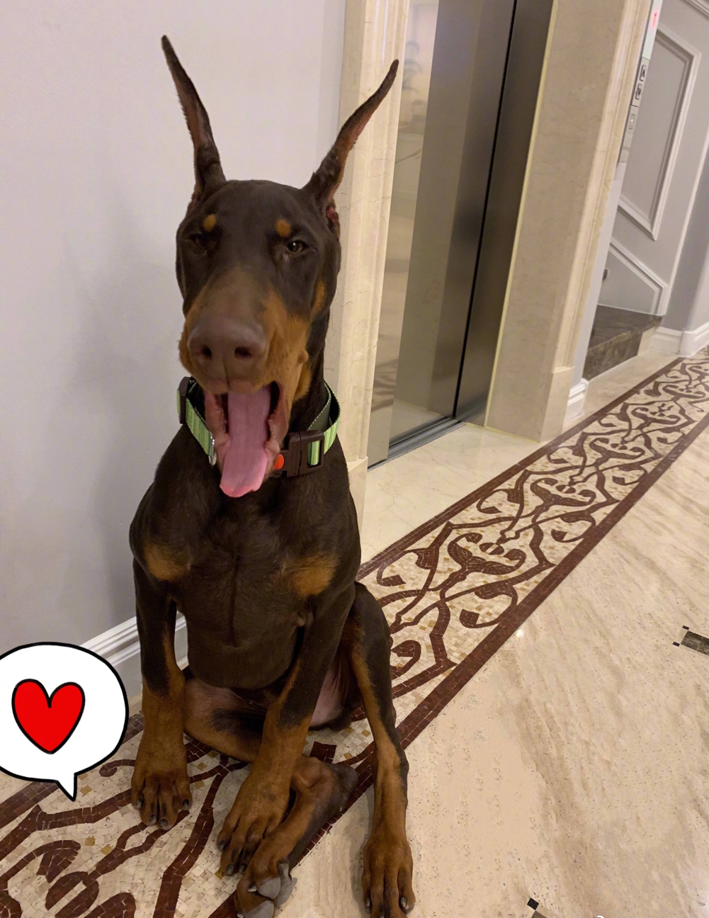 李湘晒奢华浴室,大s夸赞:你家好大啊,却被李湘一句话"回怼"